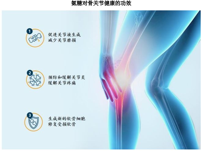 :扎根运动健康赛道凭多元布局赢长远未来AG真人appHMB全球龙头技源集团(图2) :扎根运动健康赛道凭多元布局赢长远未来AG真人appHMB全球龙头技源集团(图2)