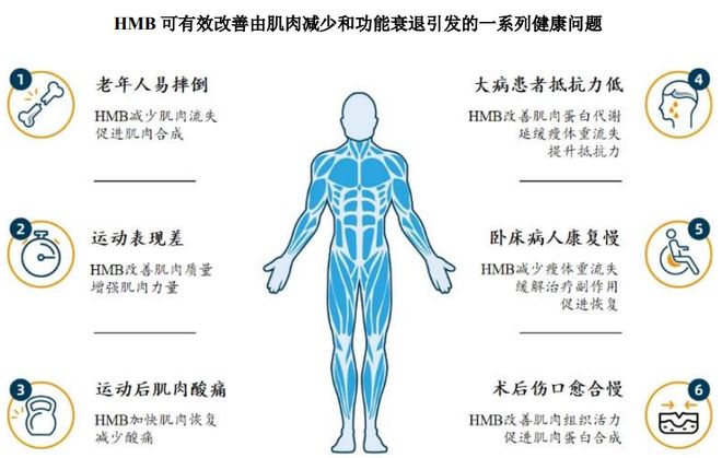 :扎根运动健康赛道凭多元布局赢长远未来AG真人appHMB全球龙头技源集团(图3) :扎根运动健康赛道凭多元布局赢长远未来AG真人appHMB全球龙头技源集团(图3)
